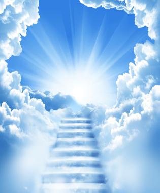 家族系統排列是在靈魂上做手術 伯特∙海寧格