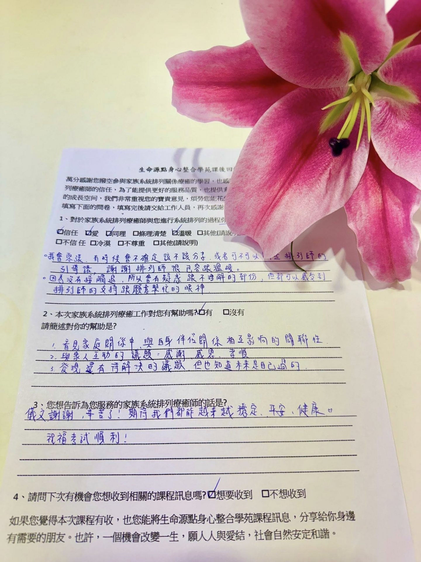 家族系統排列師資培訓推薦｜生命源點 王國芳老師｜學員真實學習分享